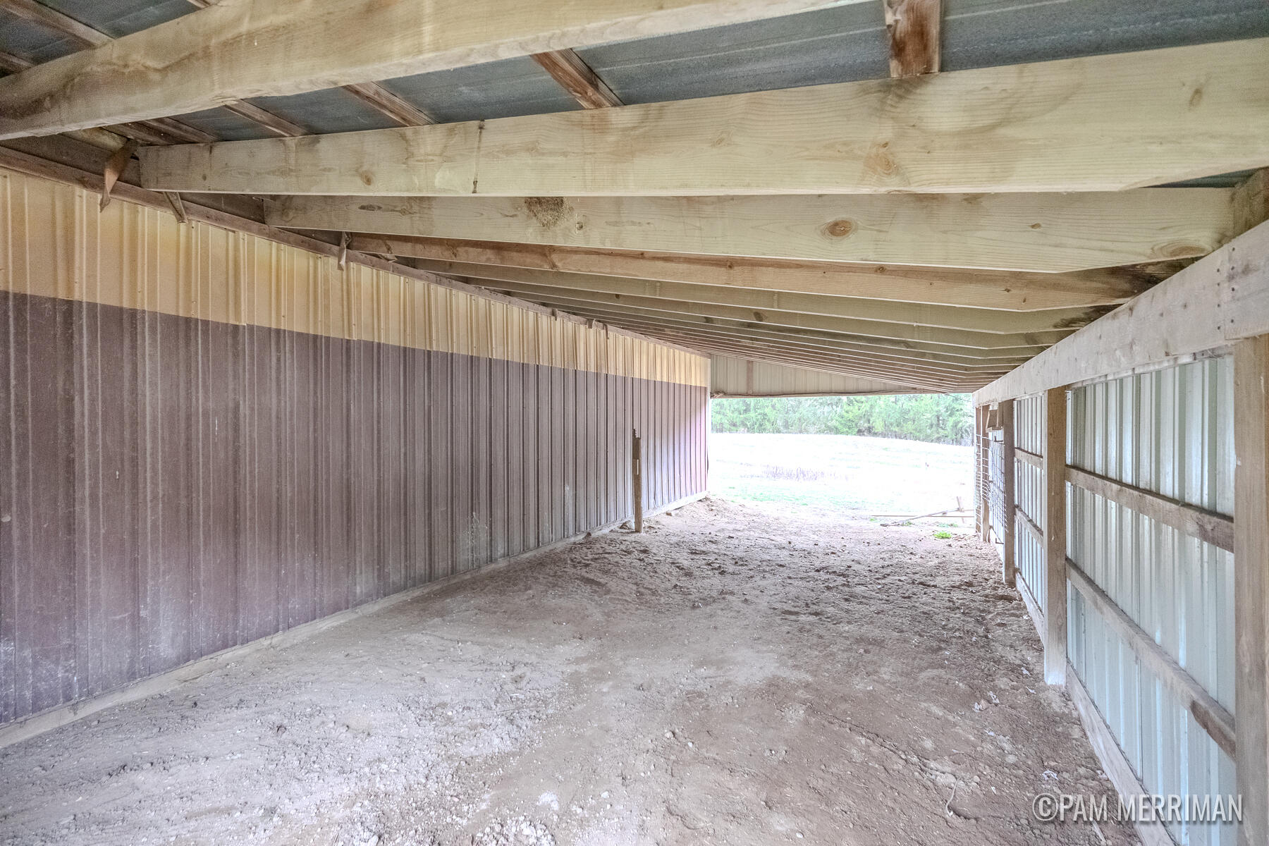 10360 North Wyman Road Edmore, MI 48829 - Photo 46 of 54 10360 N Wyman-14