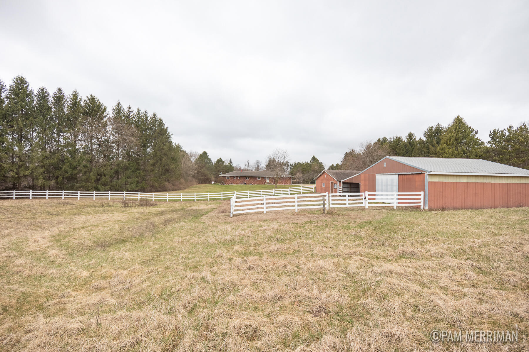 10360 North Wyman Road Edmore, MI 48829 - Photo 49 of 54 10360 N Wyman-19