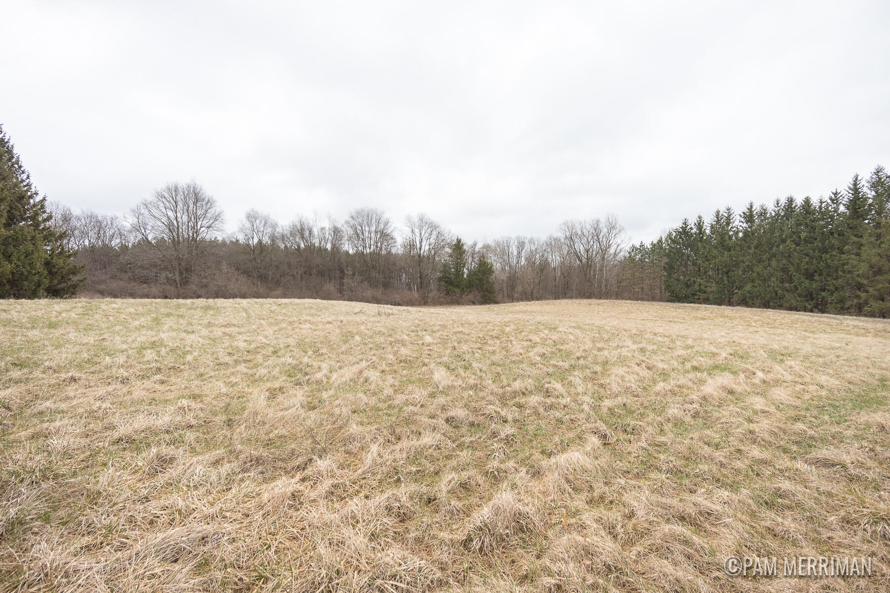 10360 North Wyman Road Edmore, MI 48829 - Photo 50 of 54 10360 N Wyman-17