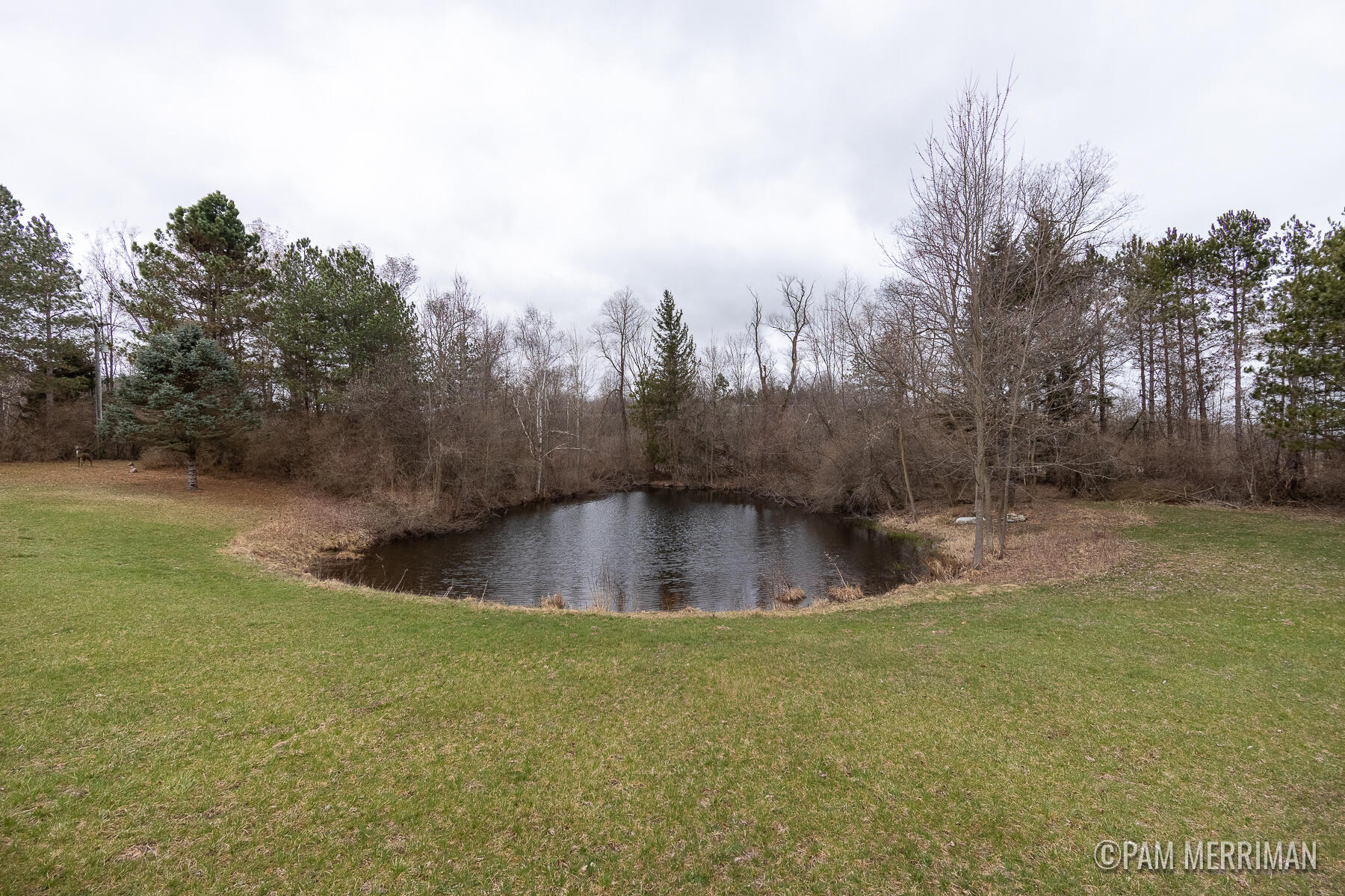 10360 North Wyman Road Edmore, MI 48829 - Photo 7 of 54 10360 N Wyman-1