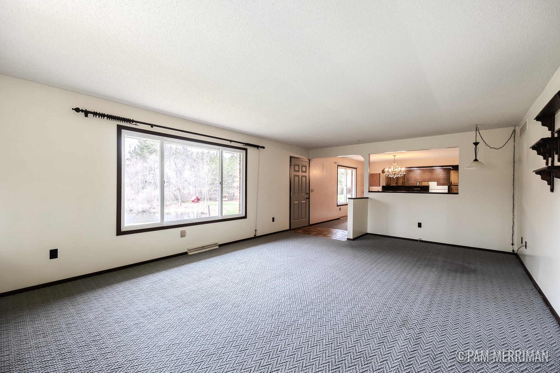 10360 North Wyman Road Edmore, MI 48829 - Photo 9 of 54 10360 N Wyman-22
