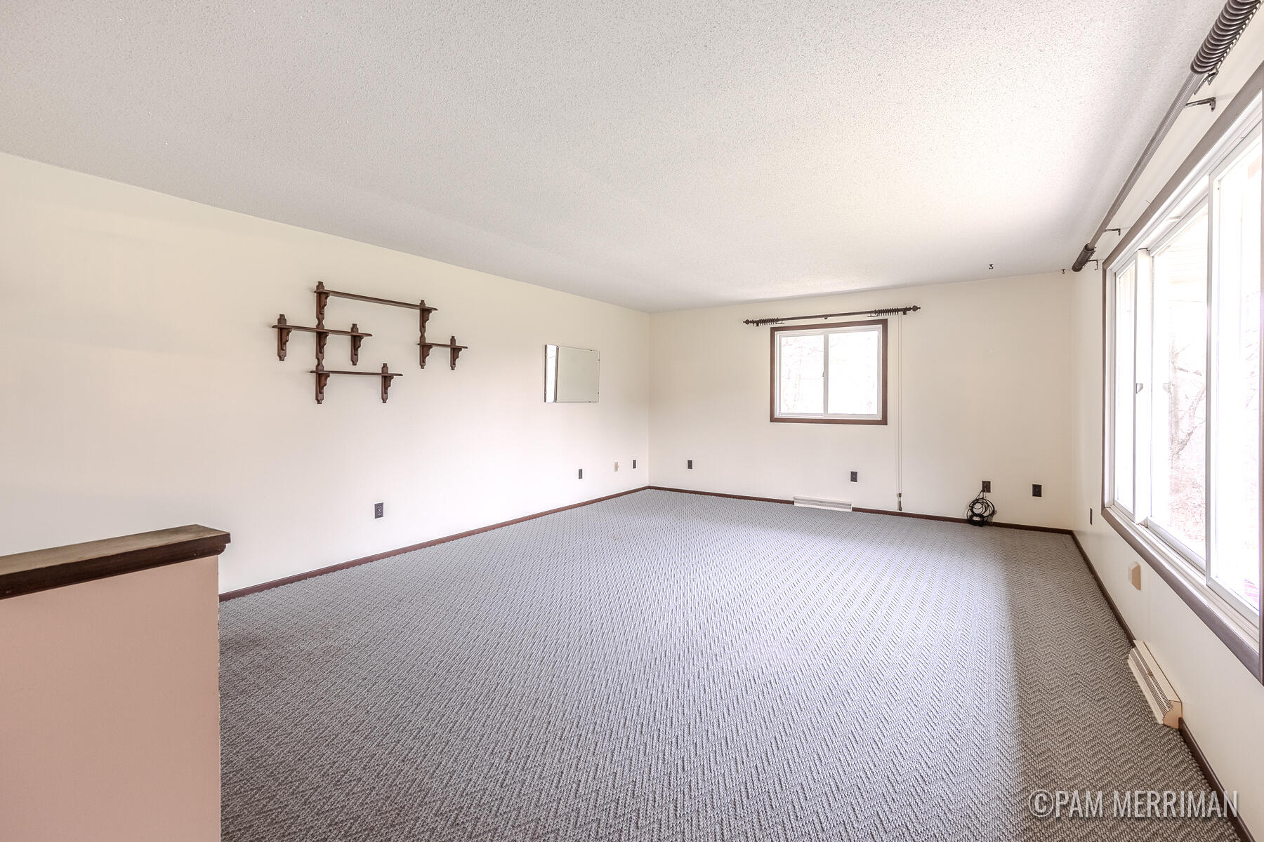 10360 North Wyman Road Edmore, MI 48829 - Photo 10 of 54 10360 N Wyman-20
