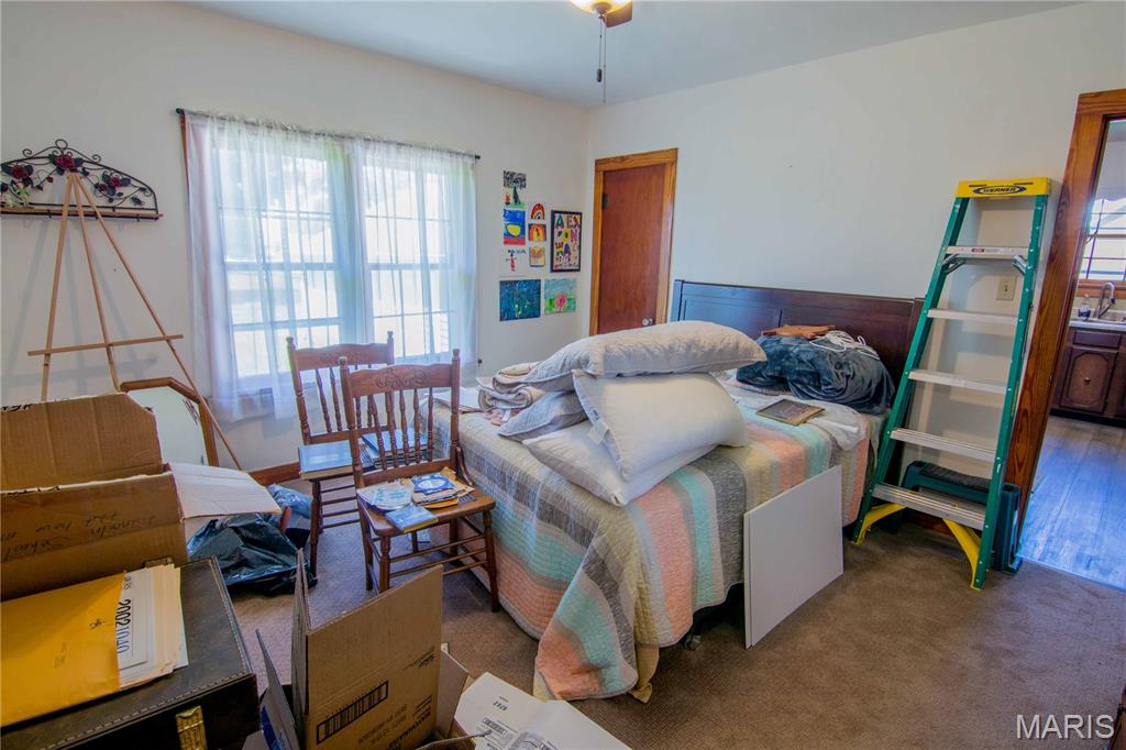 700 South Gehle Street St. Peter, IL 62880 - Photo 13 of 15
