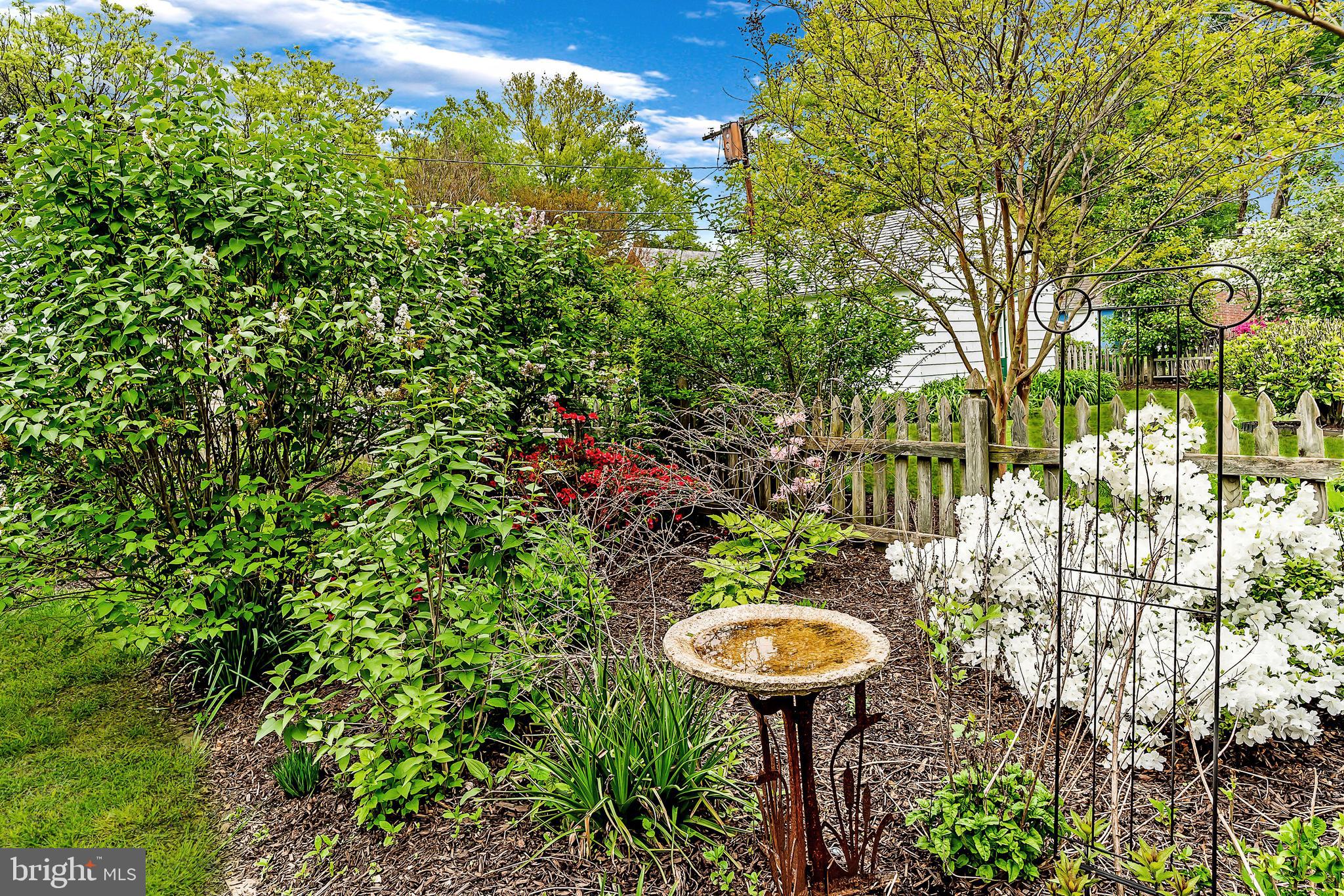 322 Broxton Road Baltimore, MD 21212 - Photo 44 of 46 Lush mature landscaping