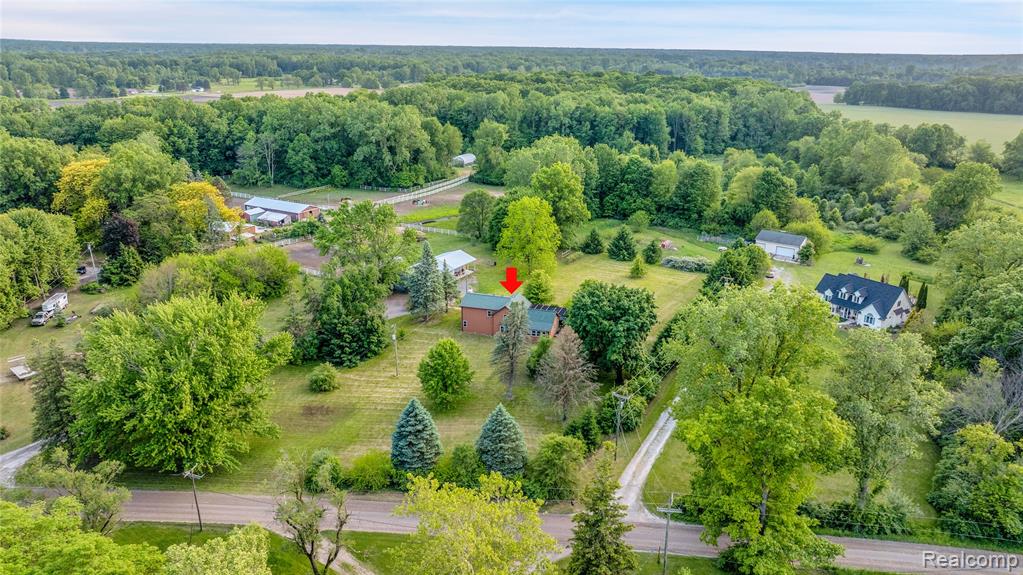 3370 Jackman Road Petersburg, MI 49270 - Photo 9 of 42