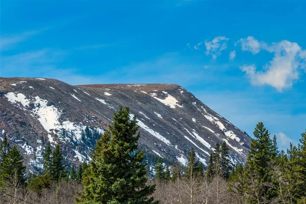 $349,000 | 2491 County Road 12, Alma, CO 80420