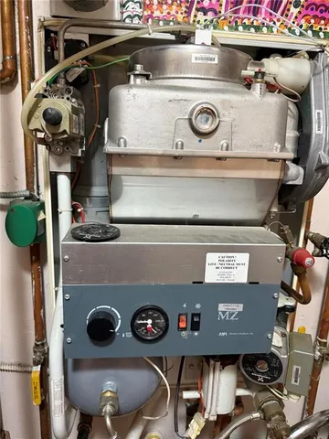 a close up of a tree