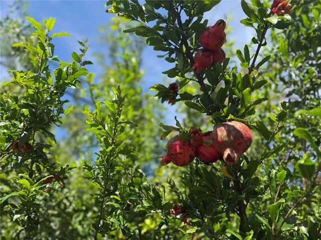 a view of a chairs and table in the kitchen