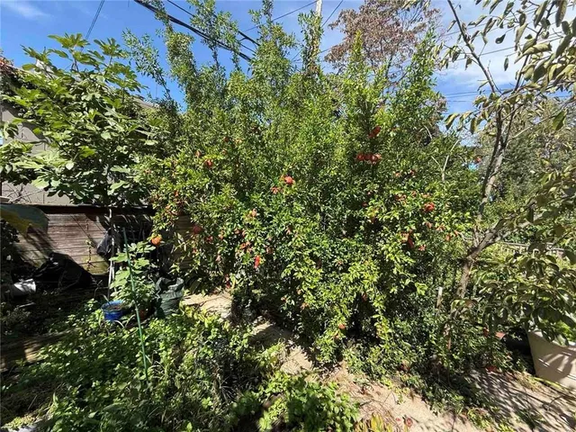 a view of road with trees