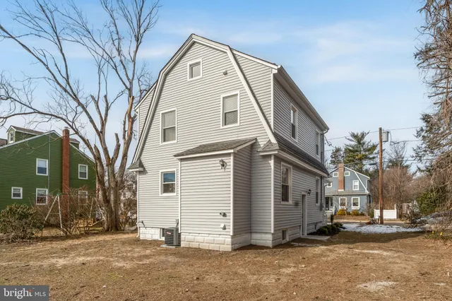 a street view with large trees