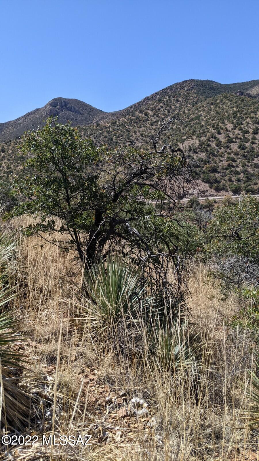 Tbd Adams Avenue, Unit MULTIPL Bisbee, AZ 85603 - Photo 20 of 35