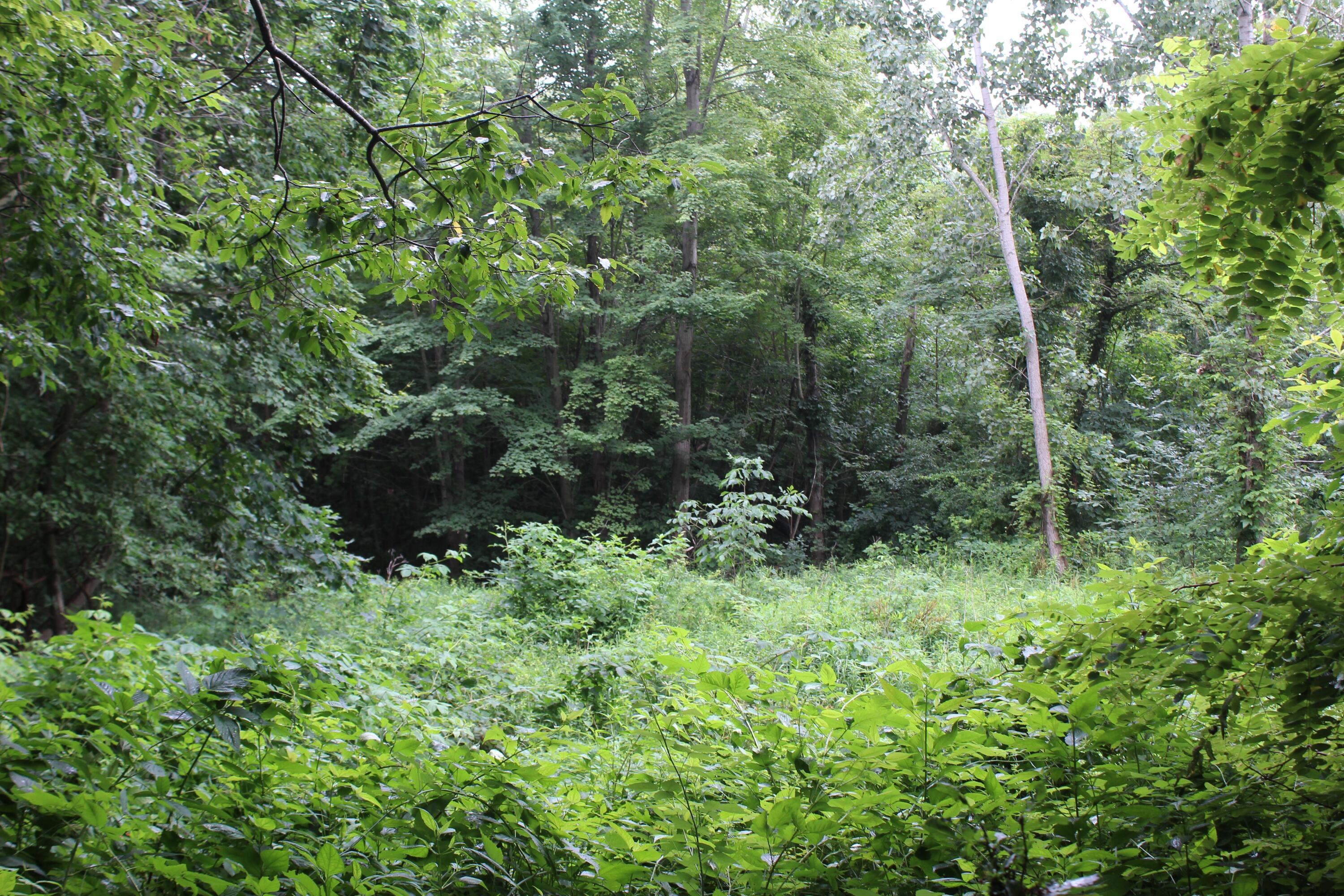 0 State Road Vermilion, OH 44089 - Photo 12 of 18 IMG_3422