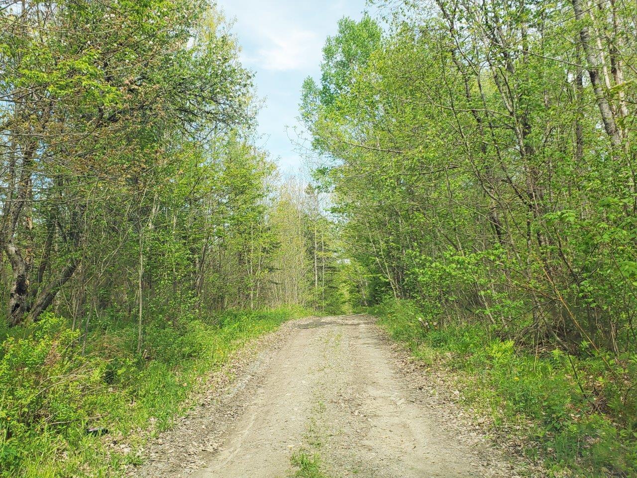 Lot 6 Pleasant Pond Road Milo, ME 04463 - Photo 25 of 38 20260523_143135 adj