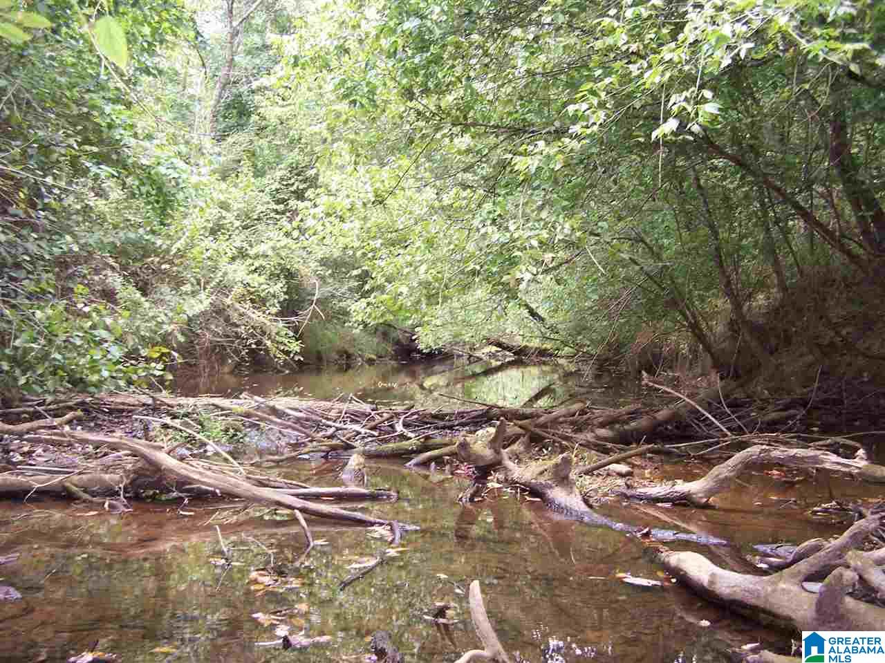 0 Jackson Trail, Unit 140 ACRES Altoona, AL 35952 - Photo 22 of 50