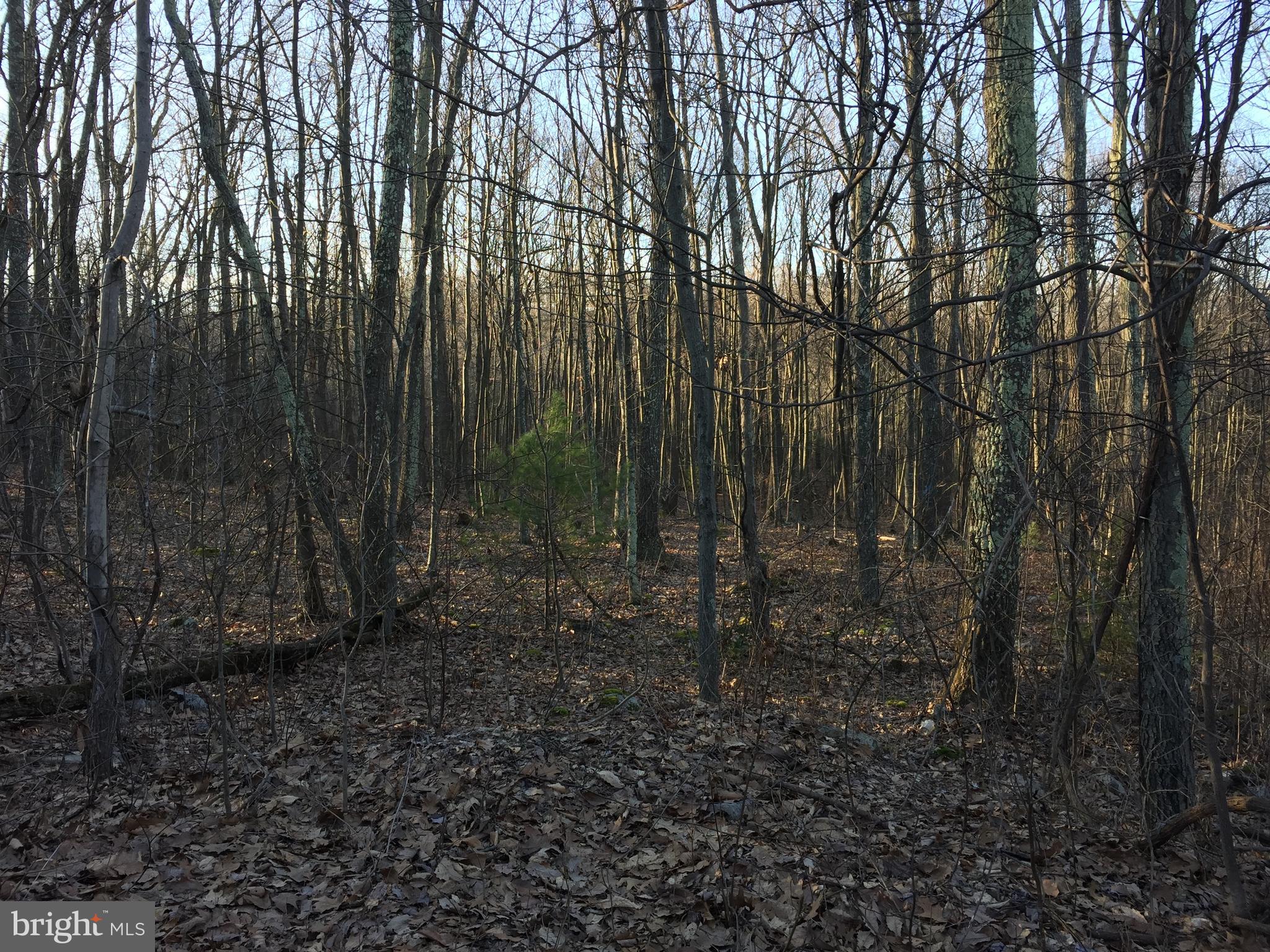 Lot 1 Hickory Ridge Road Newport, PA 17074 - Photo 1 of 1 Gallery Image 1