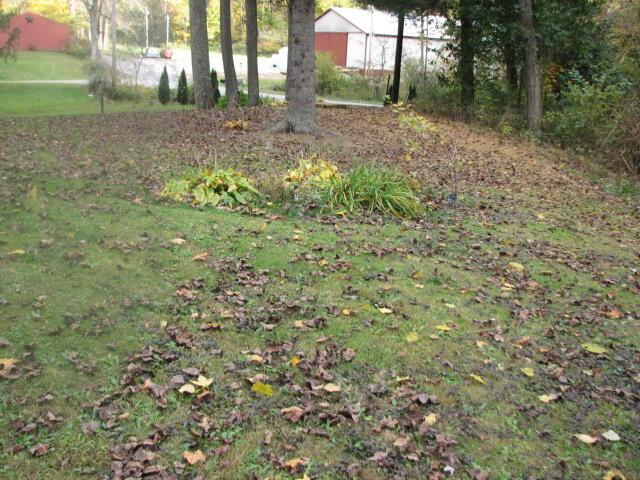 4165 Alten Road Sugar Grove, OH 43155 - Photo 16 of 78 IMG_4761
