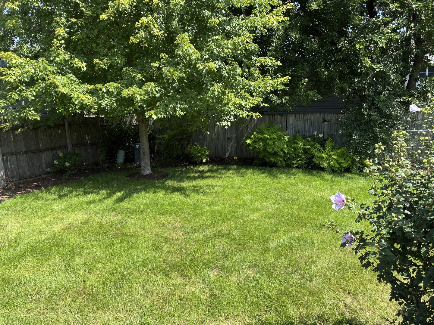 2618 Ruth Fitzgerald Drive Plainfield, IL 60586 - Photo 8 of 8 Gallery Image 8
