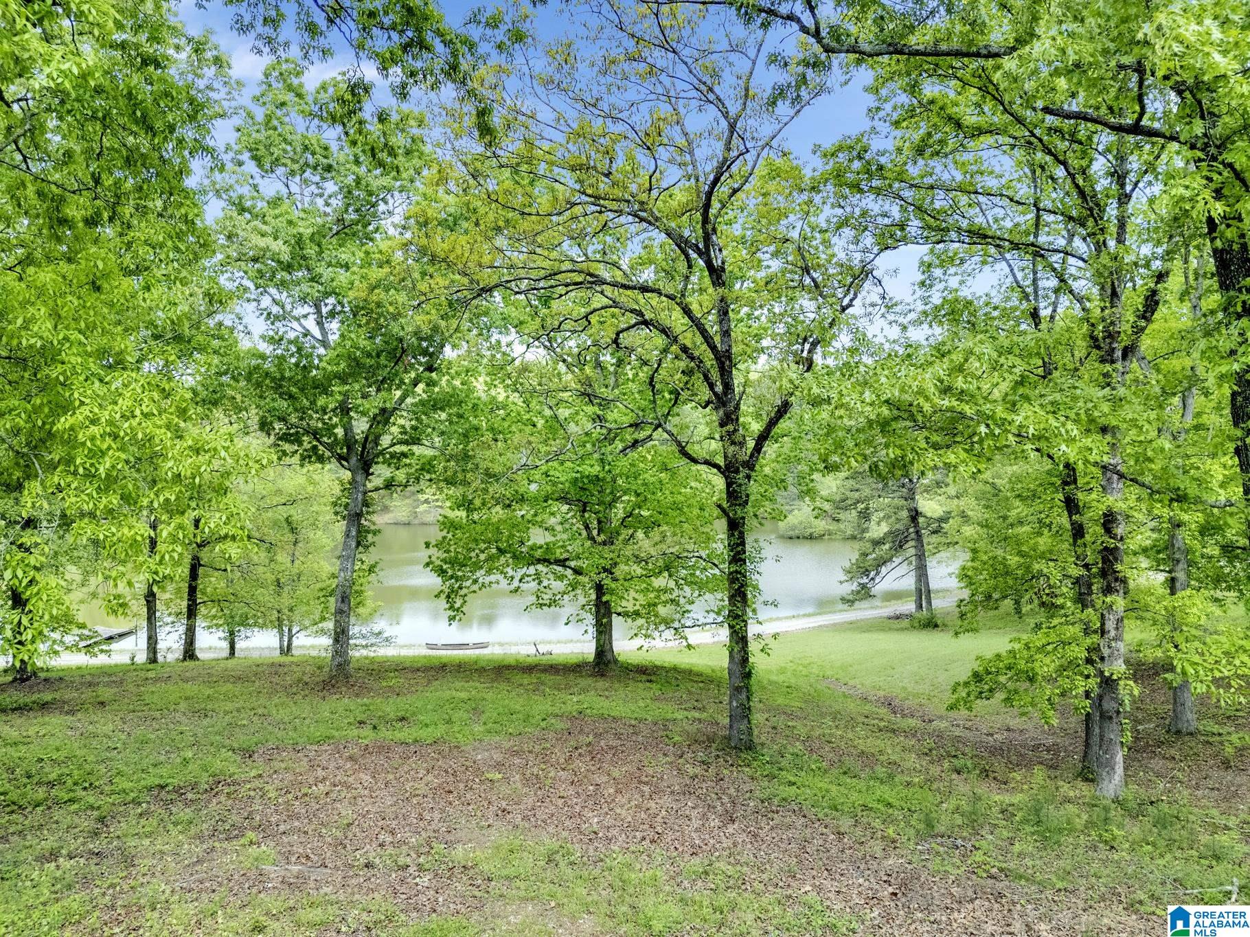 195 Harp Road Oneonta, AL 35121 - Photo 34 of 40