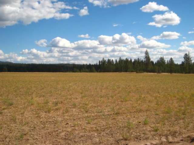 0 North Martha Boardman Road Ford, WA 99013 - Photo 1 of 5 Gallery Image 1
