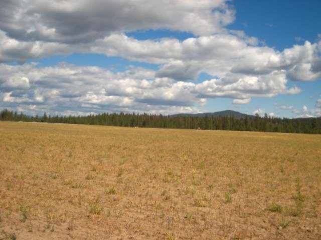 0 North Martha Boardman Road Ford, WA 99013 - Photo 2 of 5 Gallery Image 2