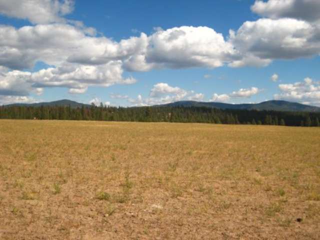 0 North Martha Boardman Road Ford, WA 99013 - Photo 3 of 5 Gallery Image 3