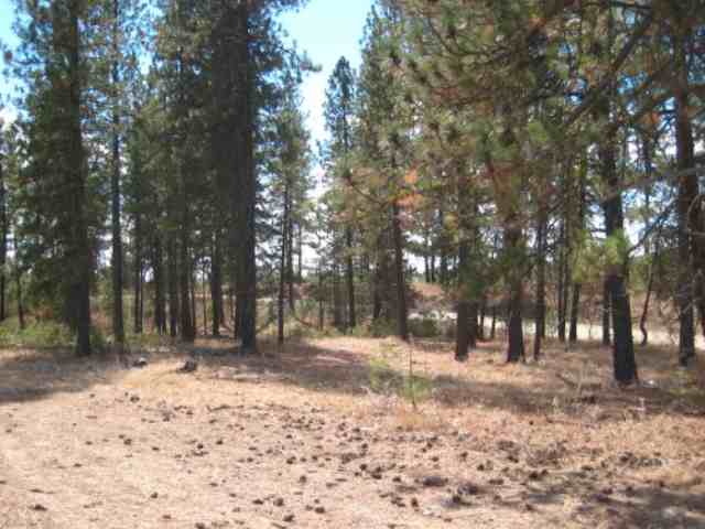 0 North Martha Boardman Road Ford, WA 99013 - Photo 4 of 5 Gallery Image 4