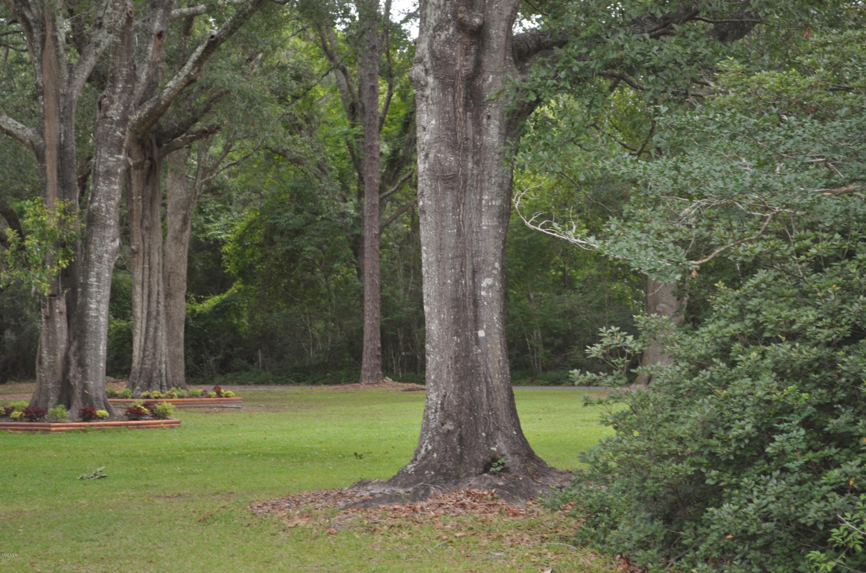 6301 Tolar Road Moss Point, MS 39562 - Photo 12 of 44 DSC_0776 (2)