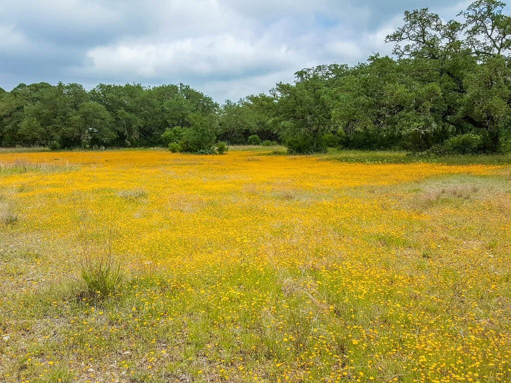 Lot 16 Bandera Boulevard Bandera, TX 78003 - Photo 14 of 32