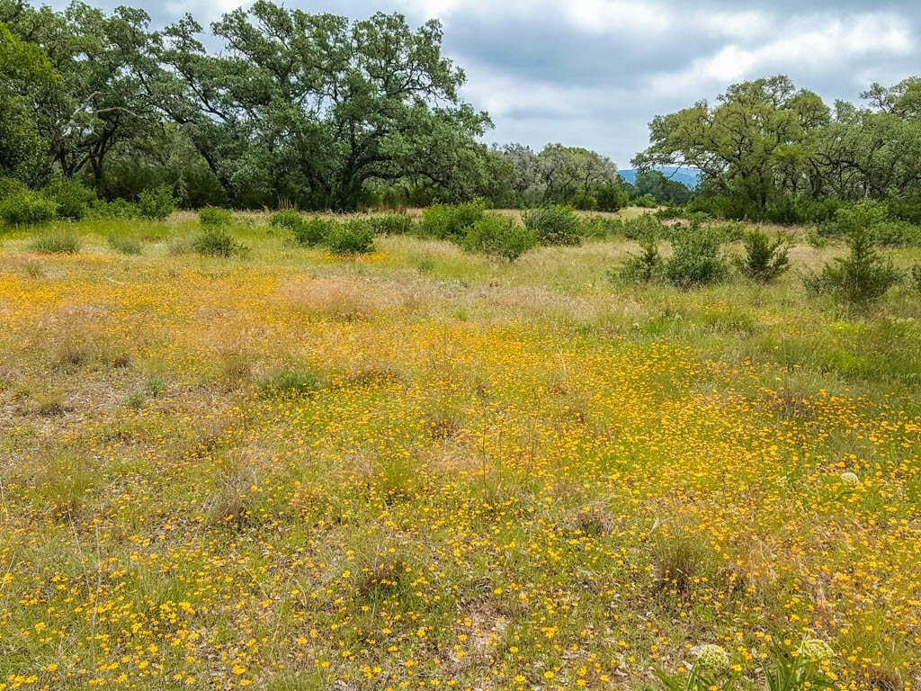 Lot 16 Bandera Boulevard Bandera, TX 78003 - Photo 19 of 32