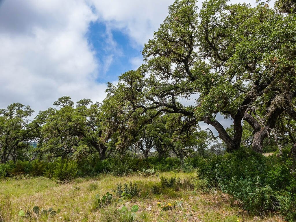 Lot 16 Bandera Boulevard Bandera, TX 78003 - Photo 23 of 32