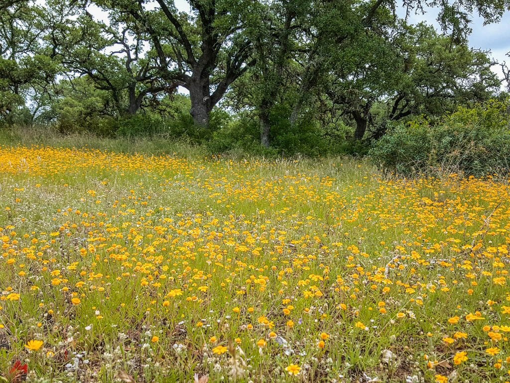 Lot 16 Bandera Boulevard Bandera, TX 78003 - Photo 24 of 32