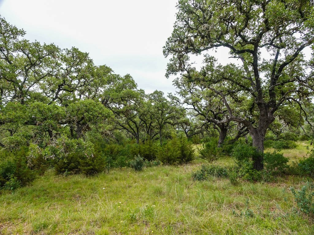 Lot 16 Bandera Boulevard Bandera, TX 78003 - Photo 30 of 32