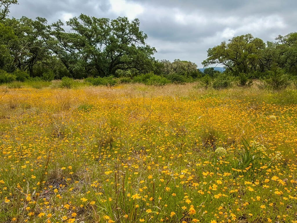 Lot 16 Bandera Boulevard Bandera, TX 78003 - Photo 9 of 32