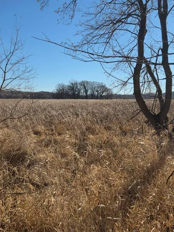 $1,500,000 | 36999 141st Lane, Montgomery, MN 56069