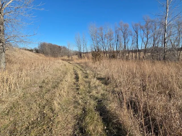 $1,500,000 | 36999 141st Lane, Montgomery, MN 56069