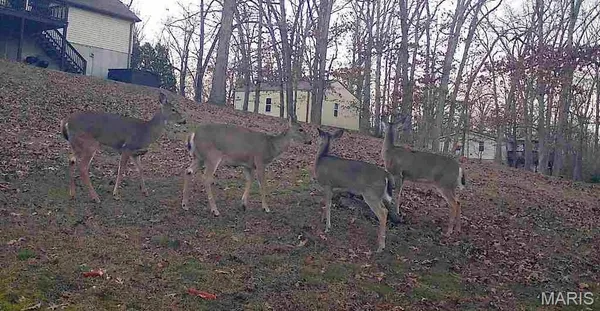 $389,900 | 480 Lone Pine Lane, St. Clair, MO 63077