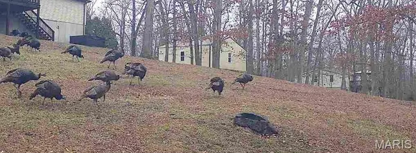 $389,900 | 480 Lone Pine Lane, St. Clair, MO 63077