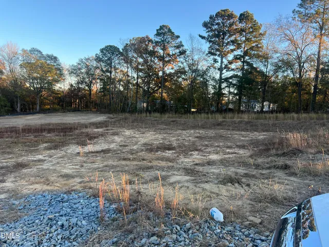 a view of a yard with a tree