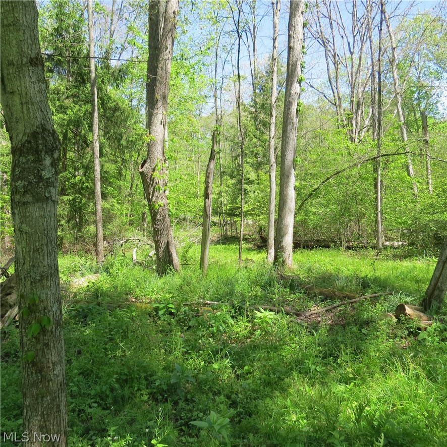 Montero Road Northeast Carrollton, OH 44615 - Photo 2 of 12