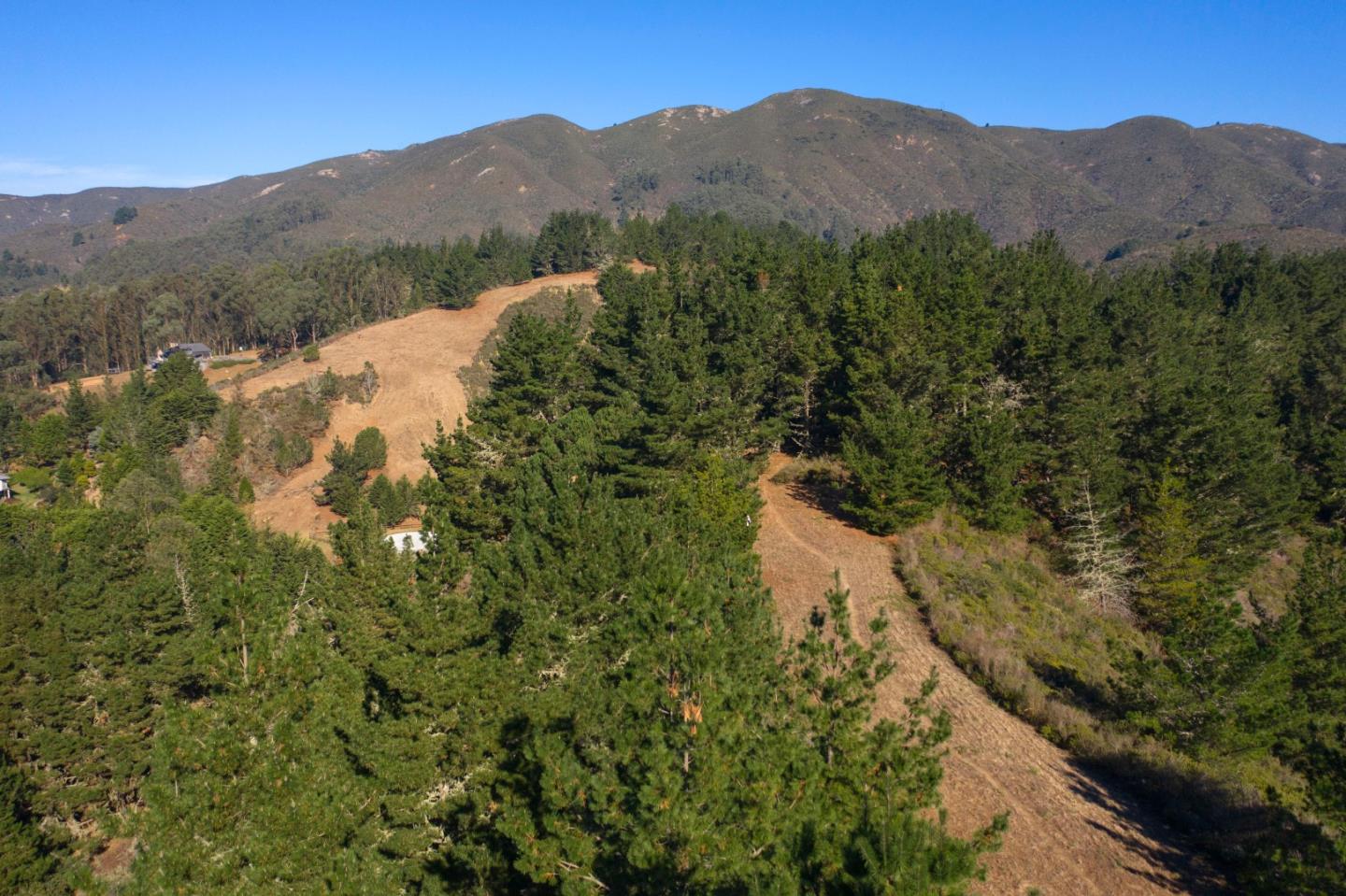 60 Bay View Montara, CA 94037 - Photo 4 of 9 a view of a forest with mountains in the background