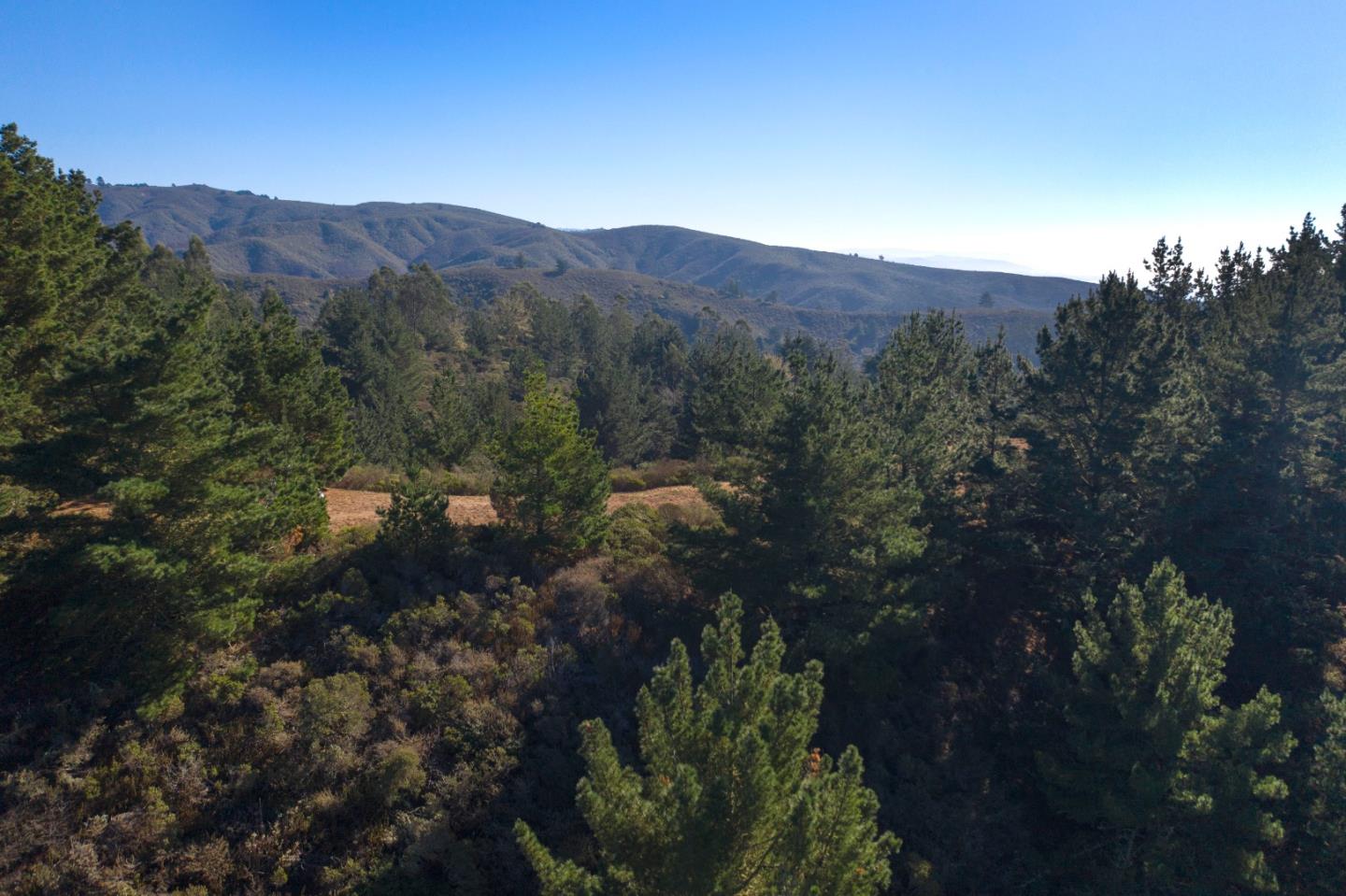 60 Bay View Montara, CA 94037 - Photo 7 of 9 a view of a lush green forest with mountains in the background
