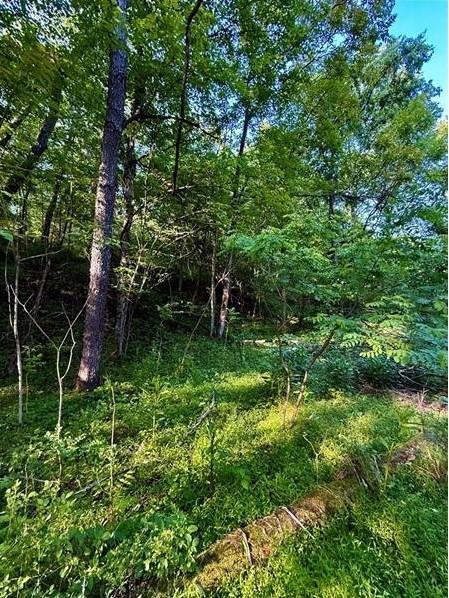 0 Nellie School Road Vanderbilt, PA 15486 - Photo 3 of 3
