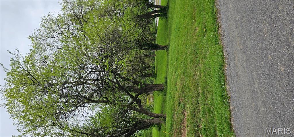 Lot 55 Sycamore Street Grafton, IL 62037 - Photo 6 of 8