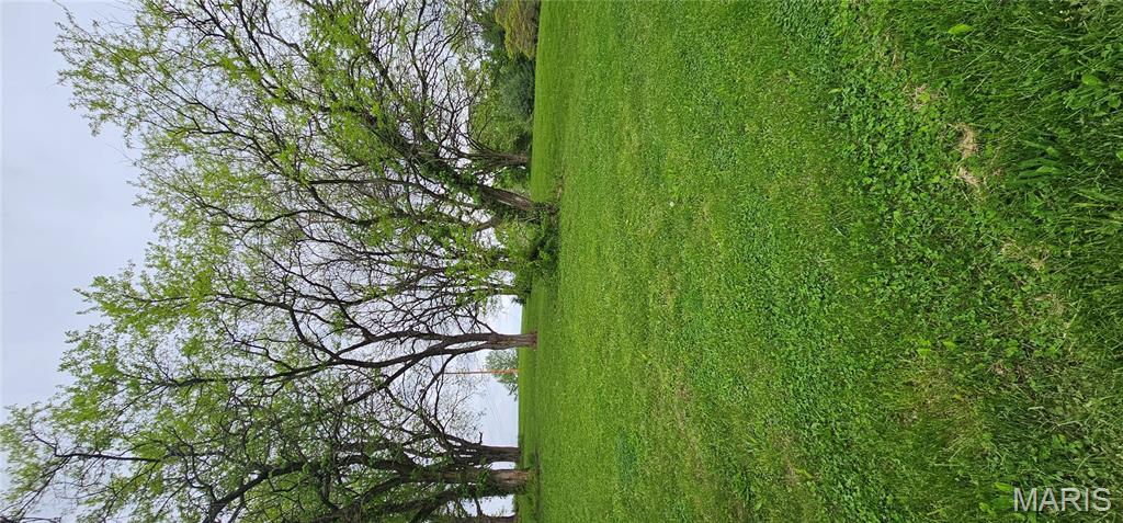 Lot 55 Sycamore Street Grafton, IL 62037 - Photo 7 of 8