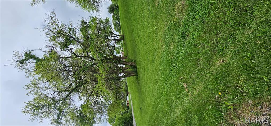 Lot 55 Sycamore Street Grafton, IL 62037 - Photo 8 of 8