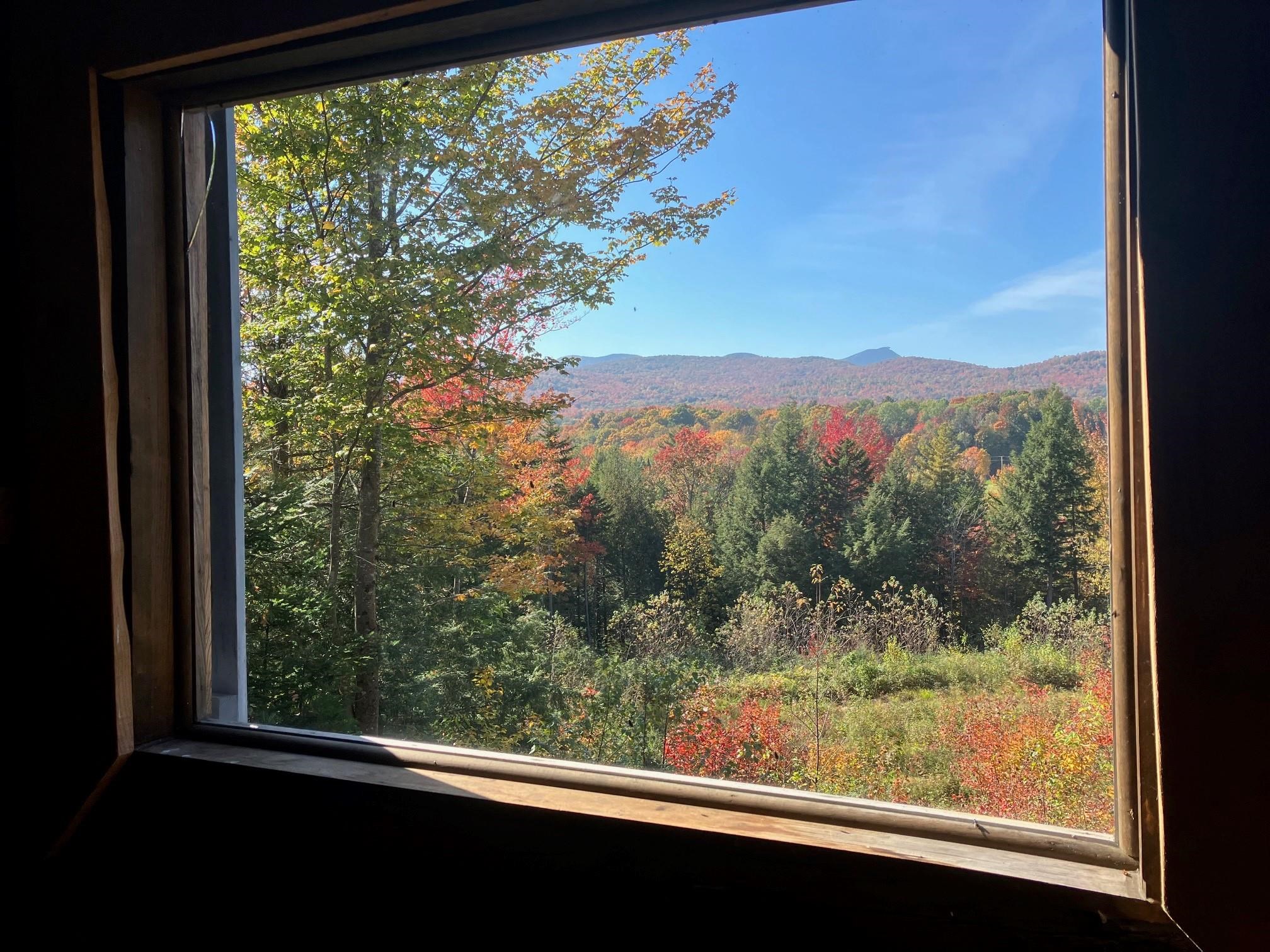 232 Forest Haven Road Westfield, VT 05874 - Photo 3 of 20