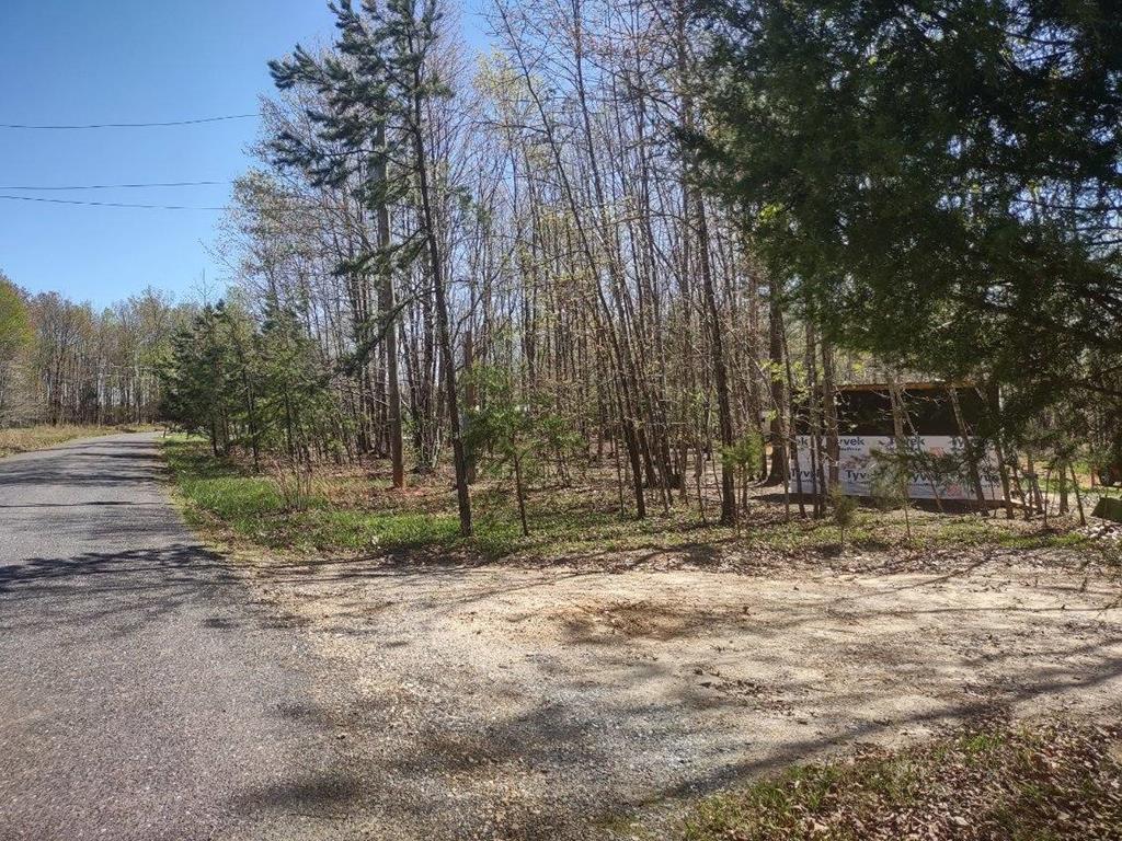 Ivy Road Howardsville, VA 24562 - Photo 10 of 19 Gallery Image 10