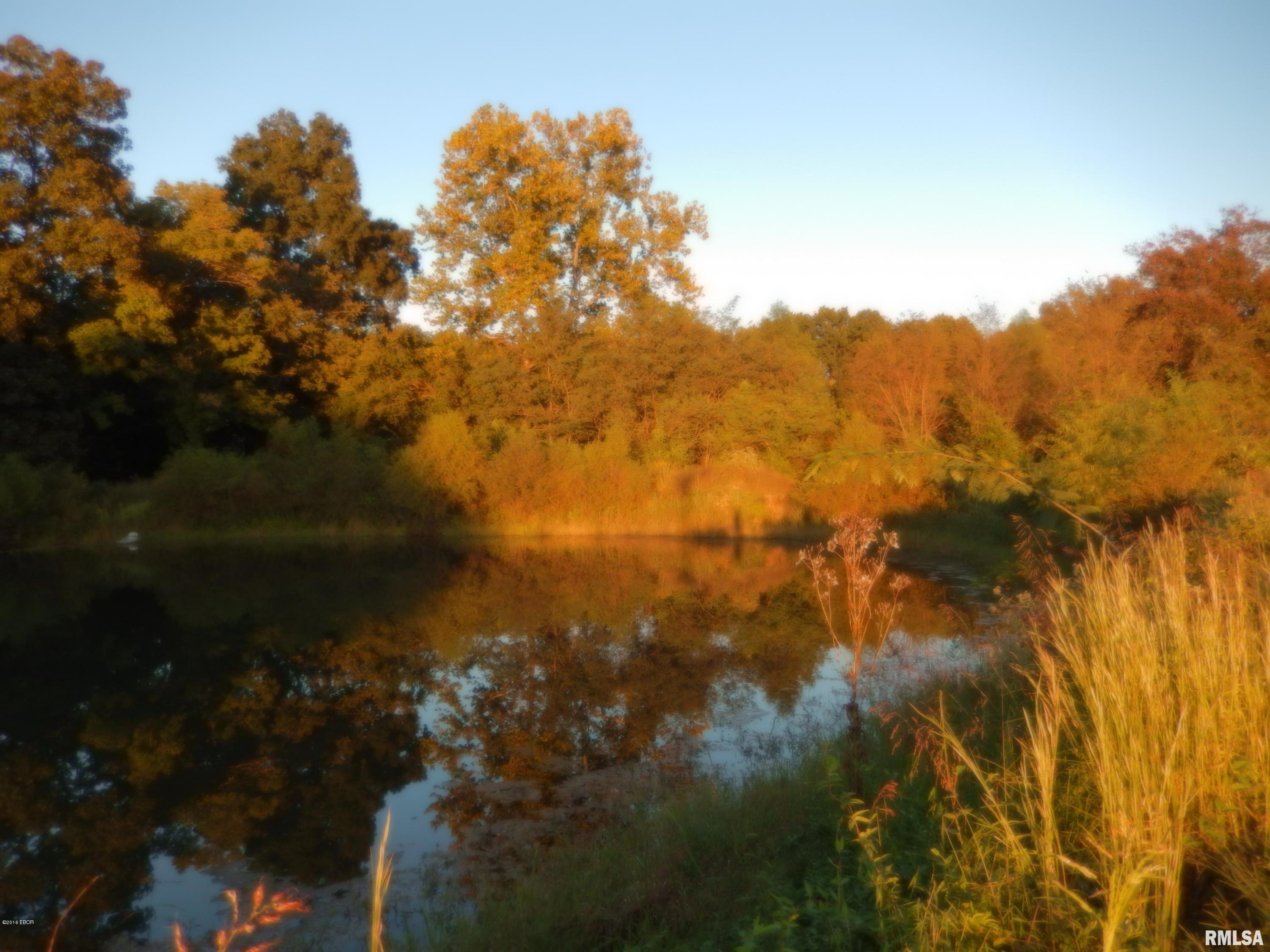 100 State Pond Road Jonesboro, IL 62952 - Photo 8 of 30 Gallery Image 8
