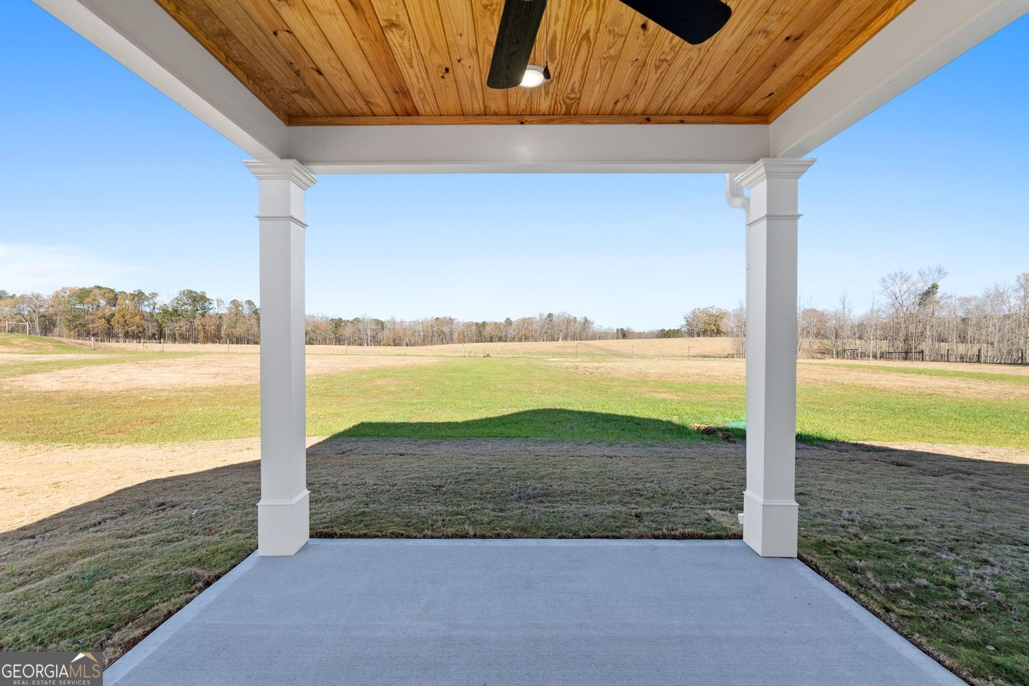 166 Mathews Road Milner, GA 30257 - Photo 28 of 32 a view of a ocean with a big yard