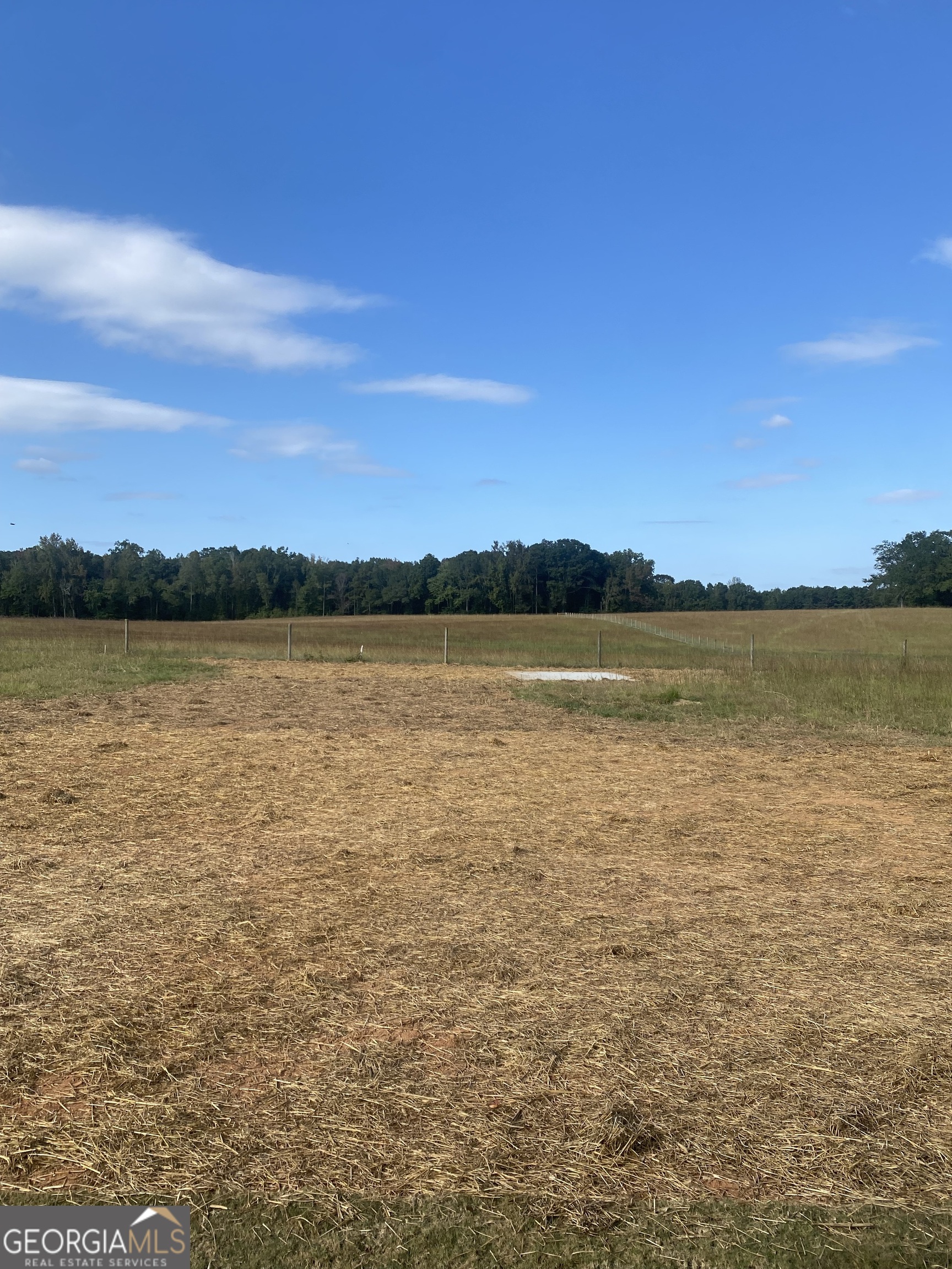 166 Mathews Road Milner, GA 30257 - Photo 4 of 14 a view of an ocean